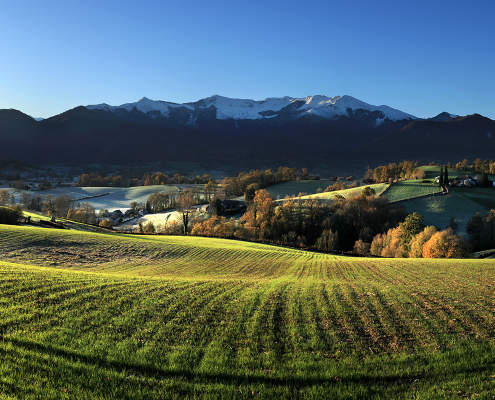 Le Boala, entre Bruges et Lys