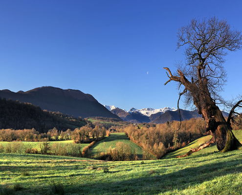 Lys et les vallons du Landistou