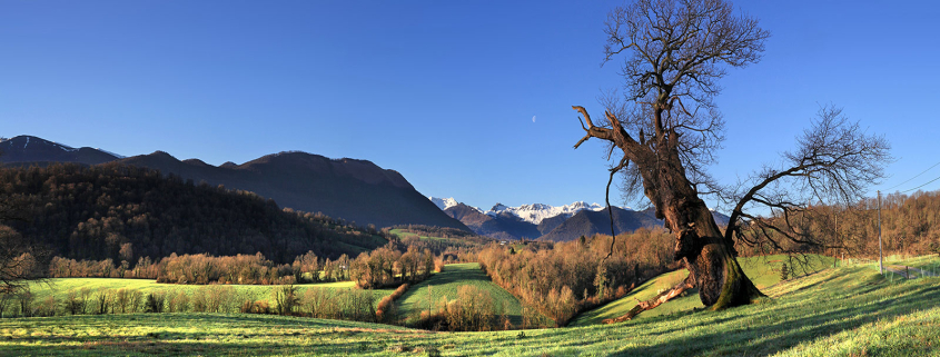 Lys et les vallons du Landistou