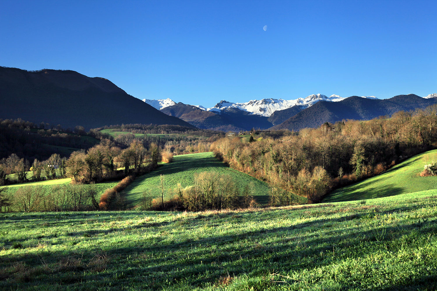 Lys et les vallons du Landistou © Photographie Stockli Lys et les vallons du Landistou