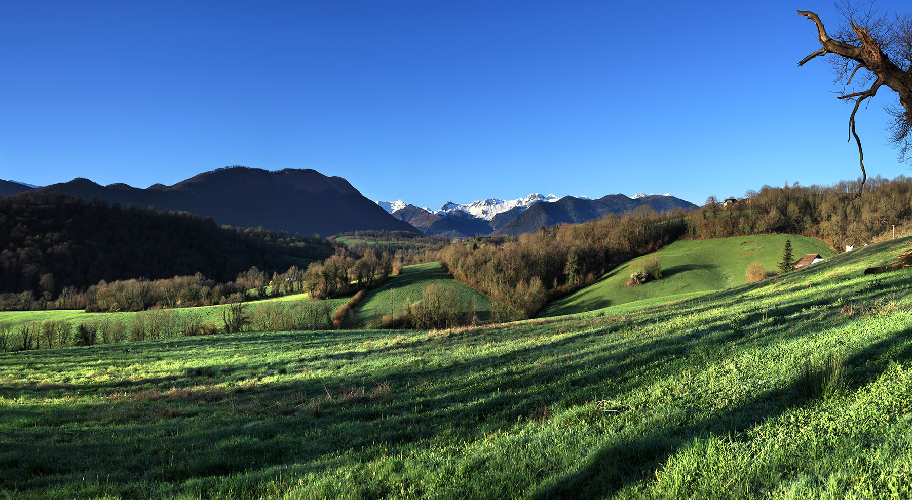 Lys et les vallons du Landistou © Photographie Stockli Lys et les vallons du Landistou