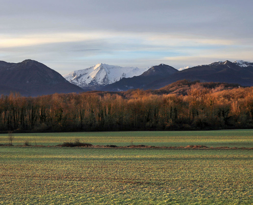 Vue des Pyrénées à la Montjoie entre Nay et Coarraze