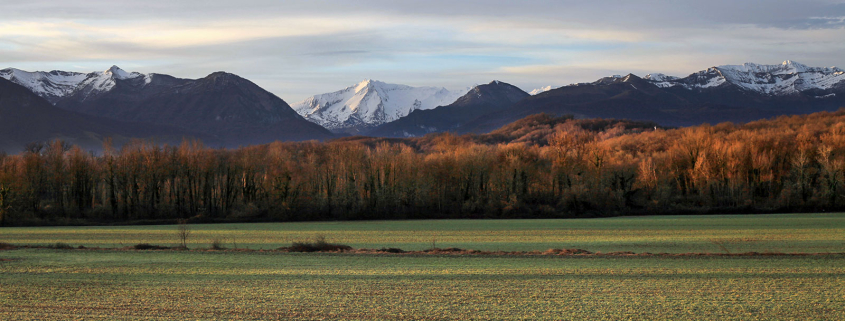 Vue des Pyrénées à la Montjoie entre Nay et Coarraze
