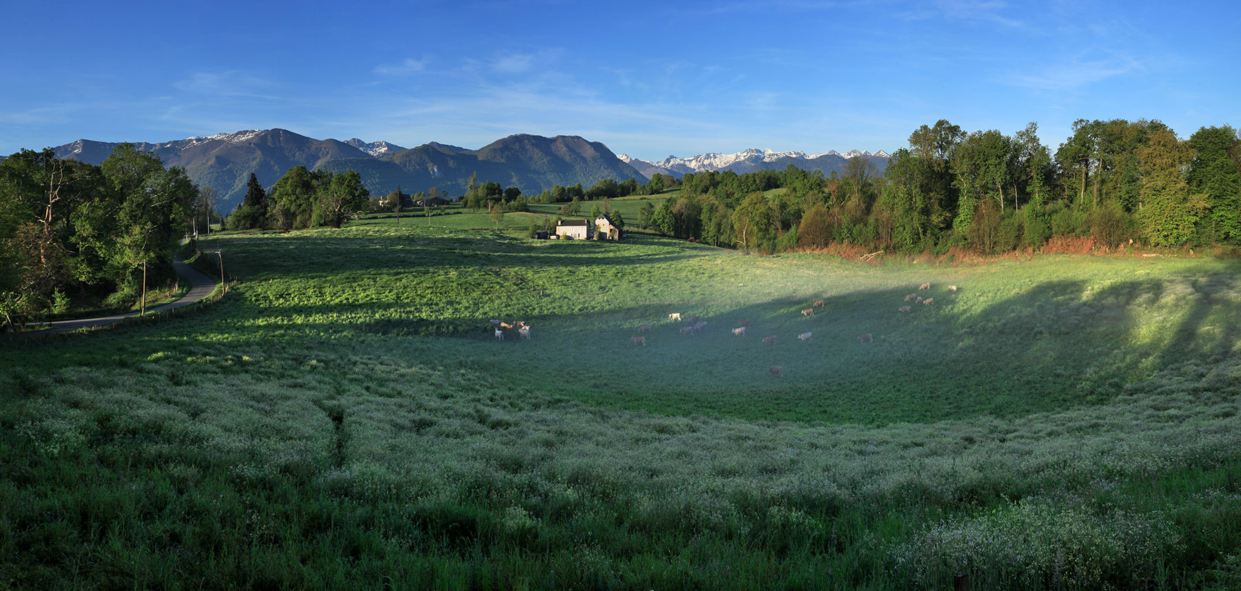 Brumes de printemps entre Capbis et Lys © Photographie Stockli Lys