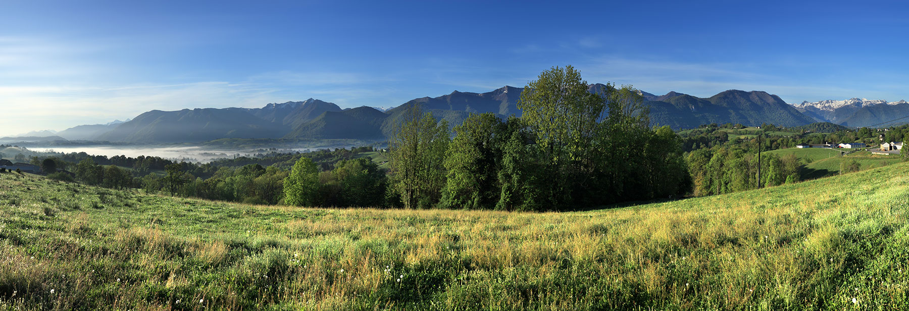 Brumes de printemps entre Capbis et Lys © Photographie Stockli Arros de Nay