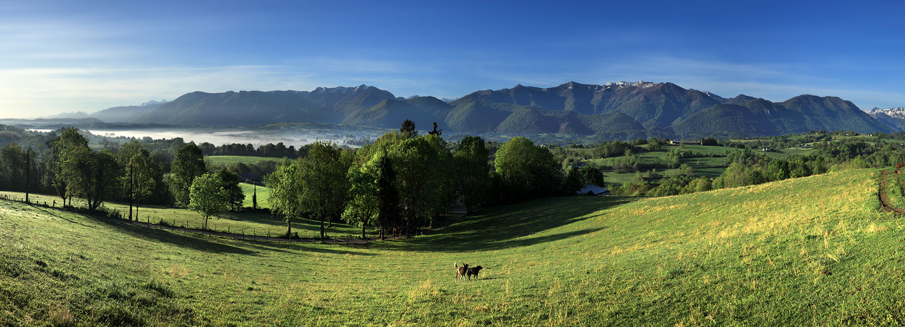 Brumes de printemps entre Capbis et Lys © Photographie Stockli Arros de Nay