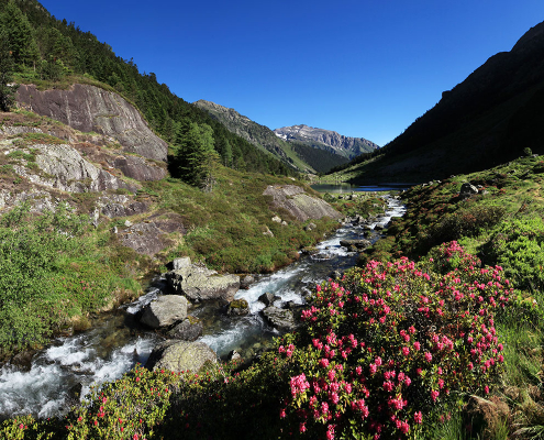 Le lac de Suyen et le gave d'Arrens