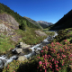 Le lac de Suyen et le gave d'Arrens